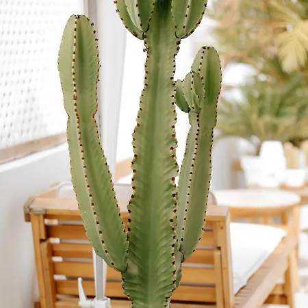 Hotel Emblemático F24-only Adults Santa Cruz de Tenerife