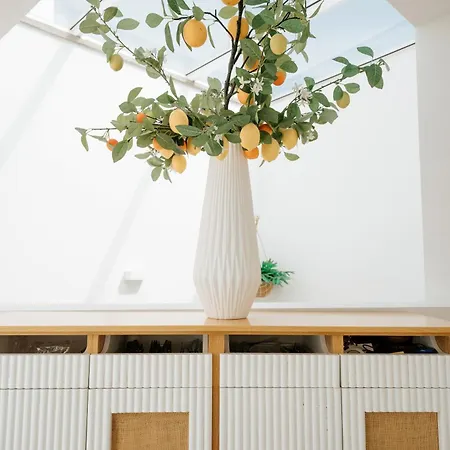 Emblemático F24-only Adults Santa Cruz de Tenerife