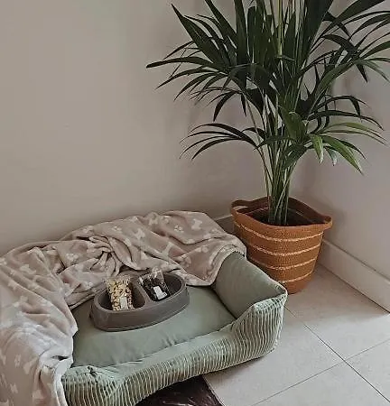 Hotel Emblemático F24-only Adults Santa Cruz de Tenerife