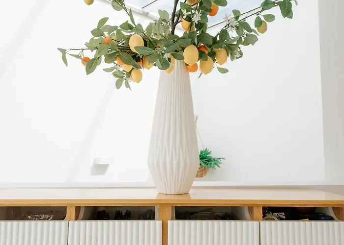 Emblemático F24-only Adults Santa Cruz de Tenerife