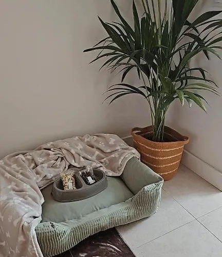 Hotel Emblemático F24-only Adults Santa Cruz de Tenerife