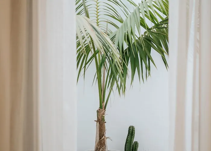 Emblematico F24-only Adults Santa Cruz de Tenerife